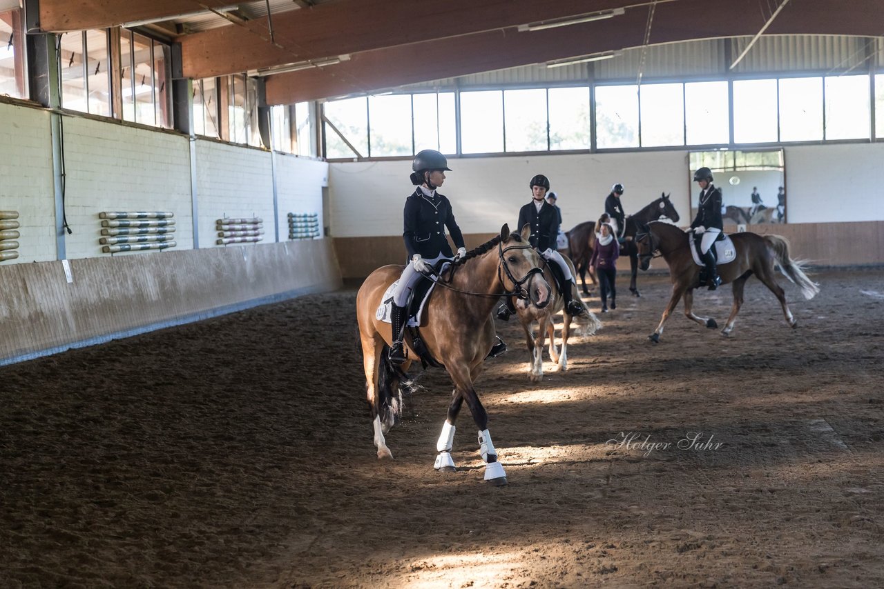 Bild 8 - Pony Akademie Turnier